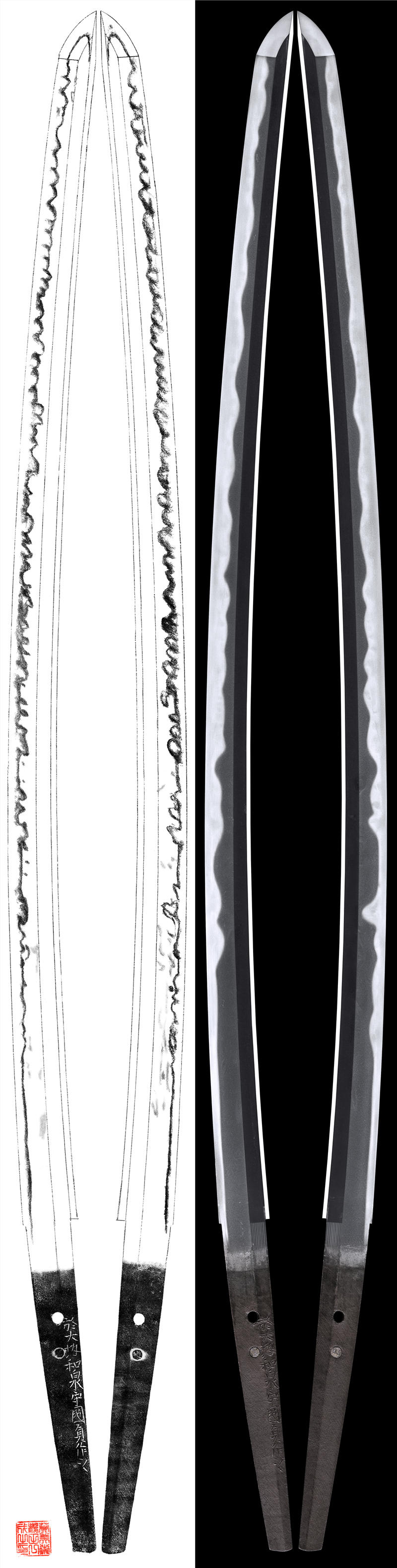 16647-2.jpg