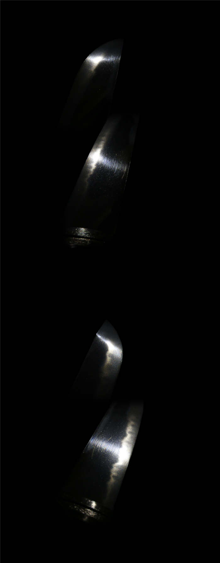 14249-4.jpg